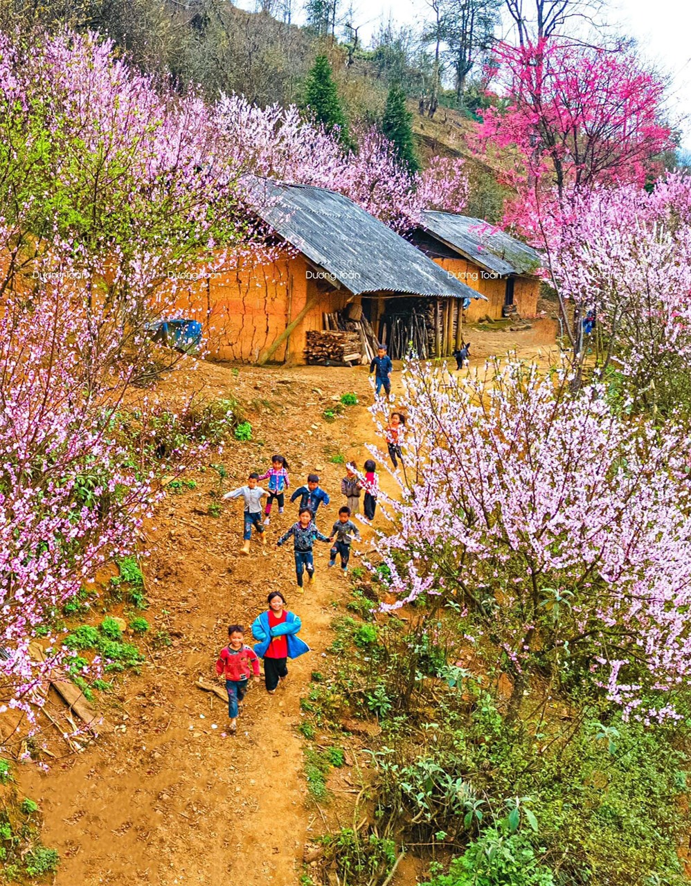 Sở Hữu Ngay Mảnh Đất Trung Tâm Tại Sapa 2